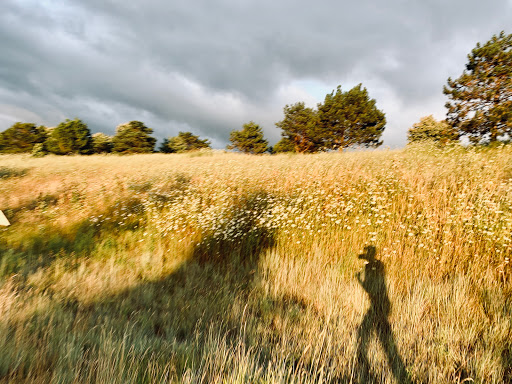 Golf Course «The Glen Club», reviews and photos, 2901 W Lake Ave, Glenview, IL 60026, USA