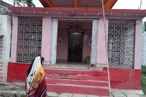 Narsinghnath Temple image