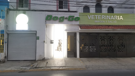 Veterinaria Dog - Go Hospital Veterinario, Estética Canina