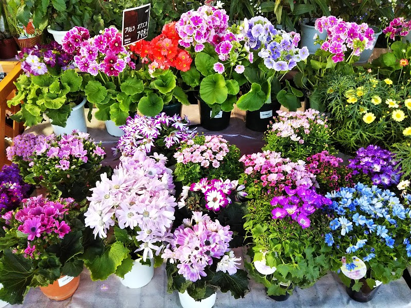 アグロガーデン 飾西店 兵庫県姫路市飾西 ホームセンター スーパー グルコミ