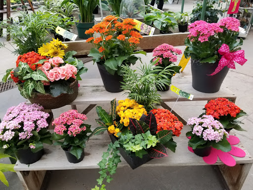 Florist «La Crosse Floral», reviews and photos, 2900 Floral Ln, La Crosse, WI 54601, USA