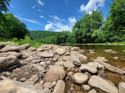 Restaurant «Forksville General Store & Restaurant», reviews and photos, 22 Bridge St, Forksville, PA 18616, USA