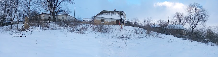 Sadivnyche Tovarystvo Horyzont-1 - Kurchatova St, 3/1, Khmelnytskyi, Khmelnytskyi Oblast, Ukraine, 29000