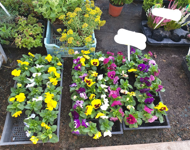 Napsugár Kertészet - Kertészkedő