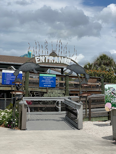 Nature Preserve «Manatee Viewing Center», reviews and photos, 6990 Dickman Rd, Apollo Beach, FL 33572, USA