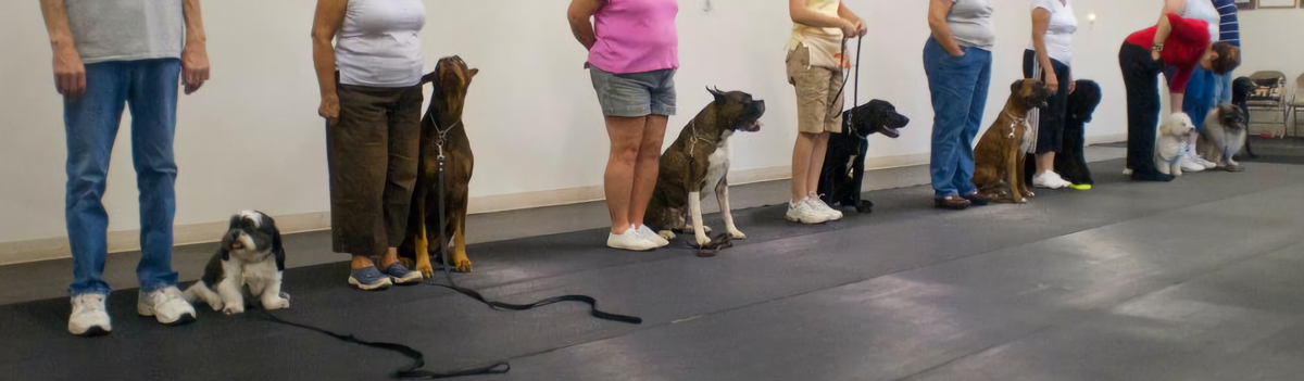 Indianapolis Obedience Training Club