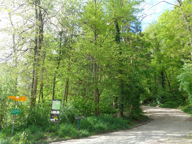 Bike Trail Arlesheim - Muttenz