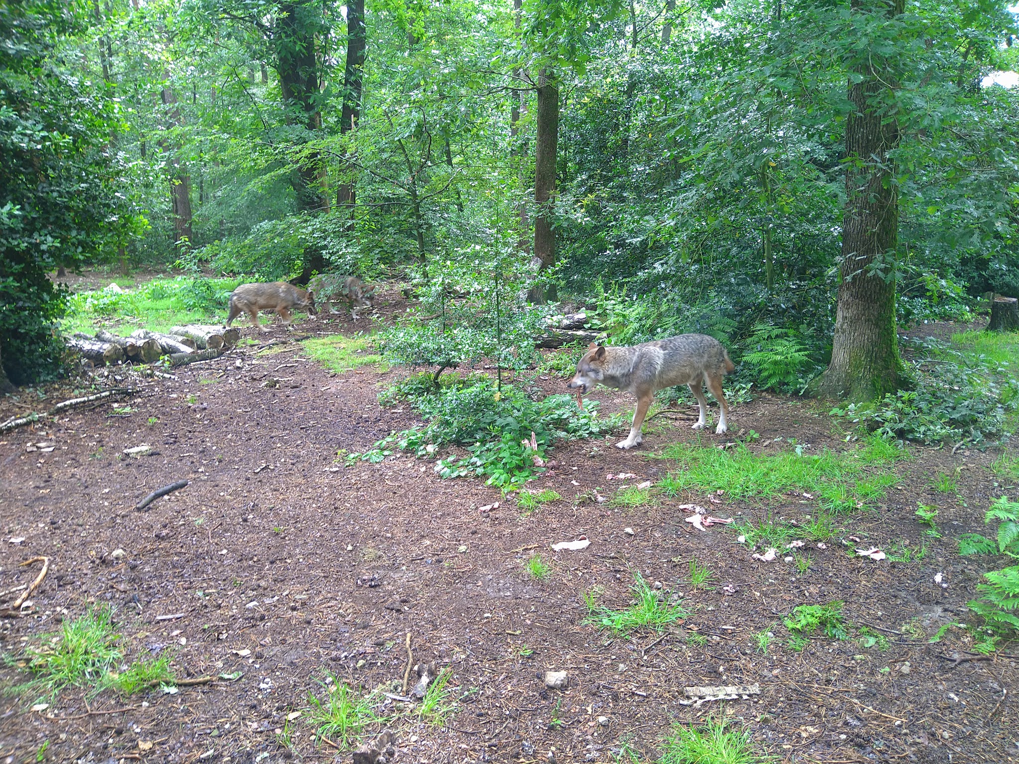 Photo n° 1 de l'avis de e. fait le 28/06/2021 à 20:59