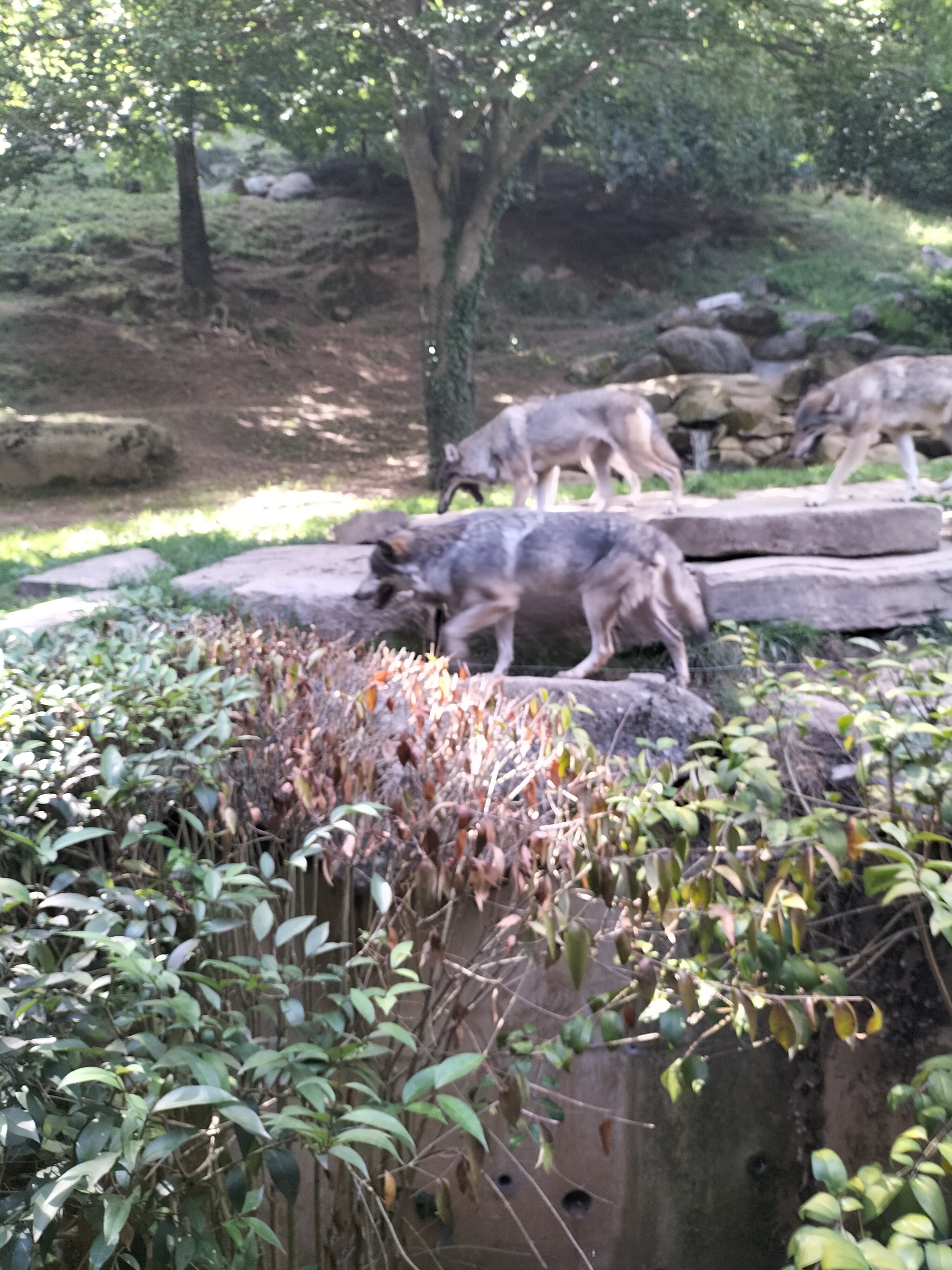 Photo n° 10 de l'avis de Alaska. fait le 26/08/2023 à 16:58