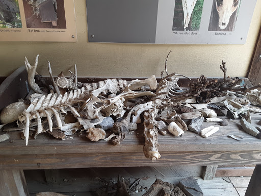 Nature Preserve «Cincinnati Nature Center», reviews and photos, 4949 Tealtown Rd, Milford, OH 45150, USA