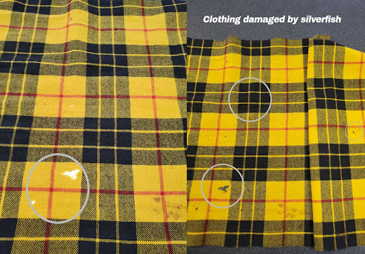 Dry Cleaner «Professional Cleaners», reviews and photos, 6000 Medlock Bridge Pkwy A-100, Johns Creek, GA 30022, USA