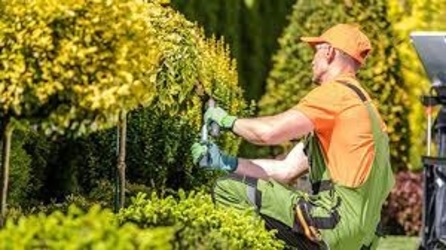 Auto Insurance Agency «Safe Street Insurance», reviews and photos