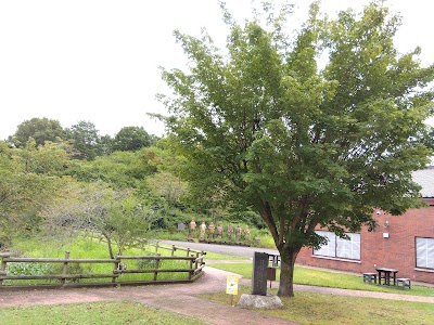 皇太子ご夫妻行啓記念の植樹・楓