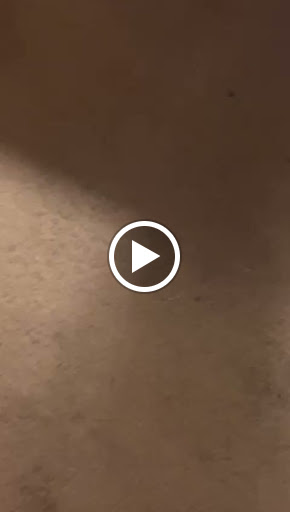 Explore wedding ring tattoo ideas for him, creative tattoo ideas in Myrtle Beach, available at Dr Ink Tattoo