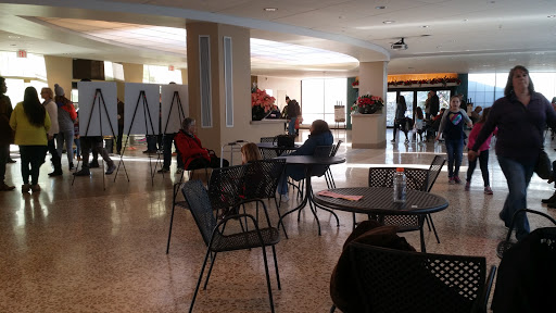 Botanical Garden «Mitchell Park Horticultural Conservatory», reviews and photos, 524 S Layton Blvd, Milwaukee, WI 53215, USA