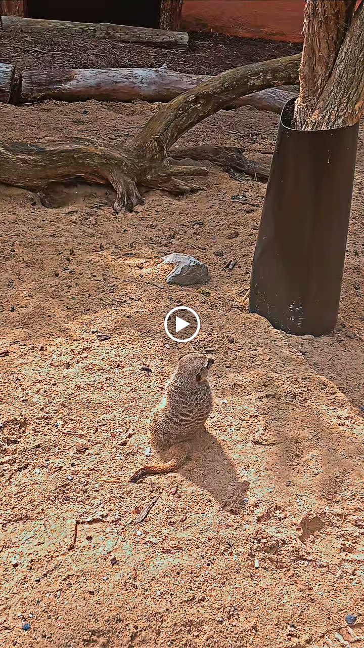 Photo n° 3 de l'avis de Corinne.h fait le 02/09/2023 à 09:38