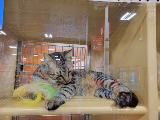 Pet Supply Store «PetSmart», reviews and photos, 948 Springfield Rd, Union, NJ 07083, USA
