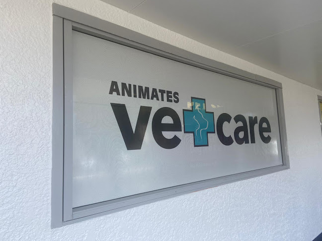 Reviews of Animates Vetcare Clinic Miramar in Wellington - Veterinarian