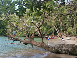 Huerta Portobelo Beach'in fotoğrafı biraz temiz temizlik seviyesi ile