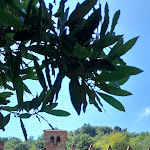 Photo n°15 de l'avis de Luisa.e fait le 30/07/2023 à 15:11 sur le  Ristorante Certosa 1515 di Avigliana à Avigliana