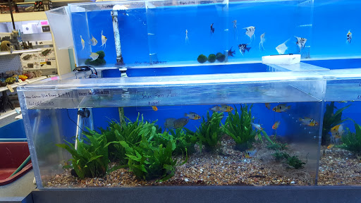 Tropical Fish Store «Marine Warehouse Aquarium», reviews and photos, 8021 W Hillsborough Ave, Tampa, FL 33615, USA