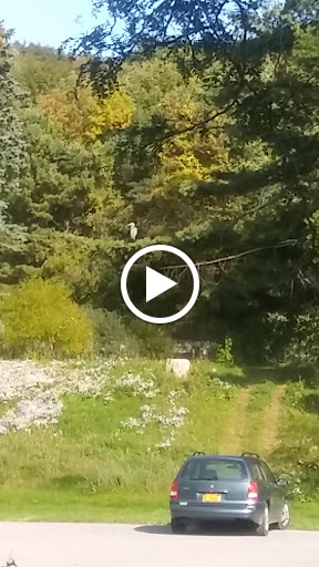 Concert Hall «Jam In the Valley», reviews and photos, 1629 US-20A, Varysburg, NY 14167, USA