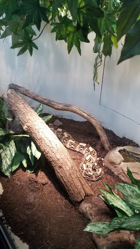 Science Museum «Museum of the Rockies», reviews and photos, 600 W Kagy Blvd, Bozeman, MT 59717, USA