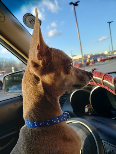 Supermarket «Giant», reviews and photos, 25939 John J Williams Hwy, Millsboro, DE 19966, USA