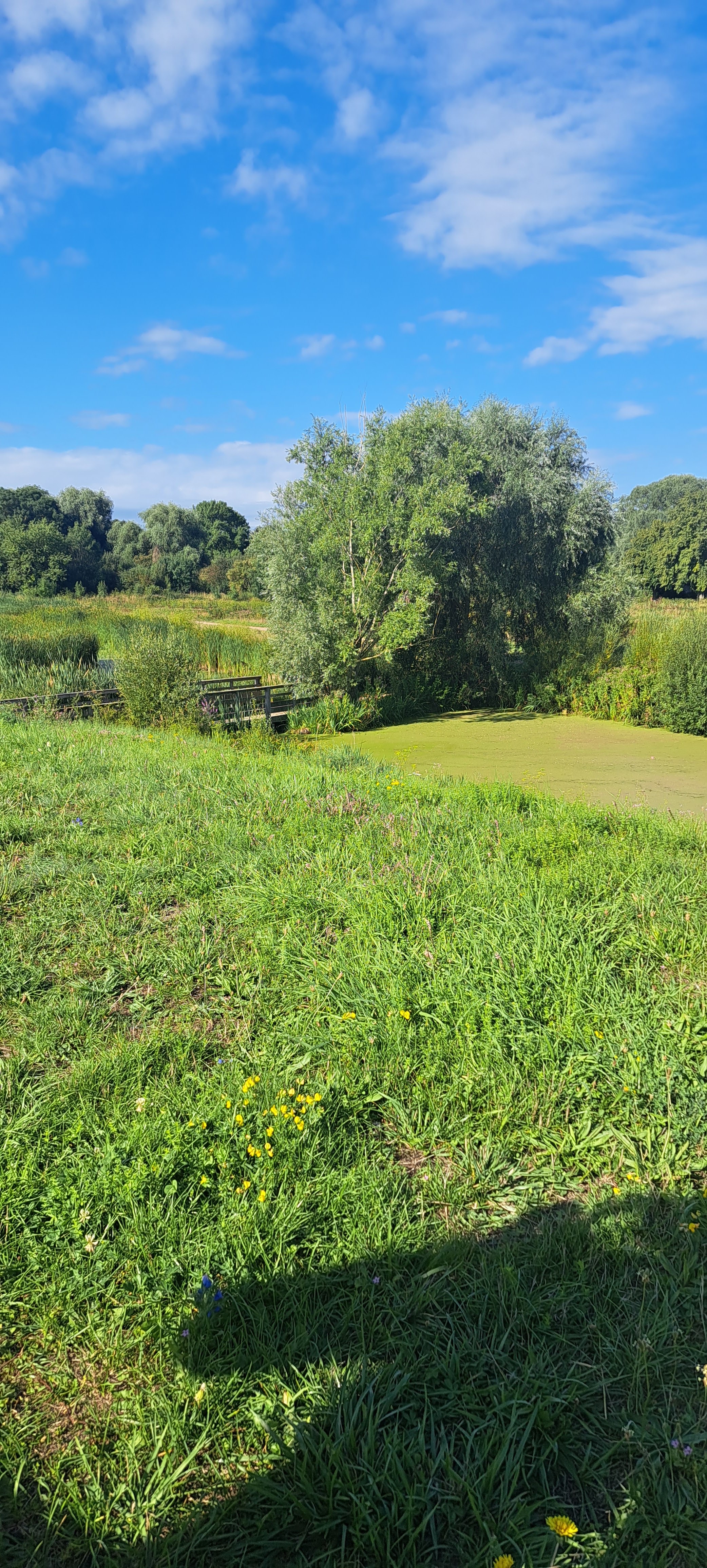 Photo n° 1 de l'avis de Marie-Agnès.a fait le 22/08/2023 à 17:00