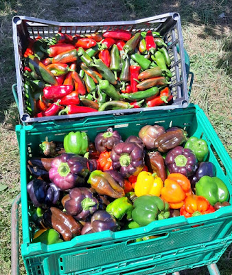 La Huerta de Veyrinas à Condat-sur-Vienne