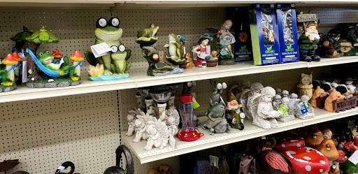 Discount Store «Big Lots», reviews and photos, 4840 Allen Rd, Zephyrhills, FL 33541, USA