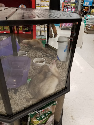 Pet Supply Store «Petco Animal Supplies», reviews and photos, 9078 SE Sunnyside Rd, Clackamas, OR 97015, USA