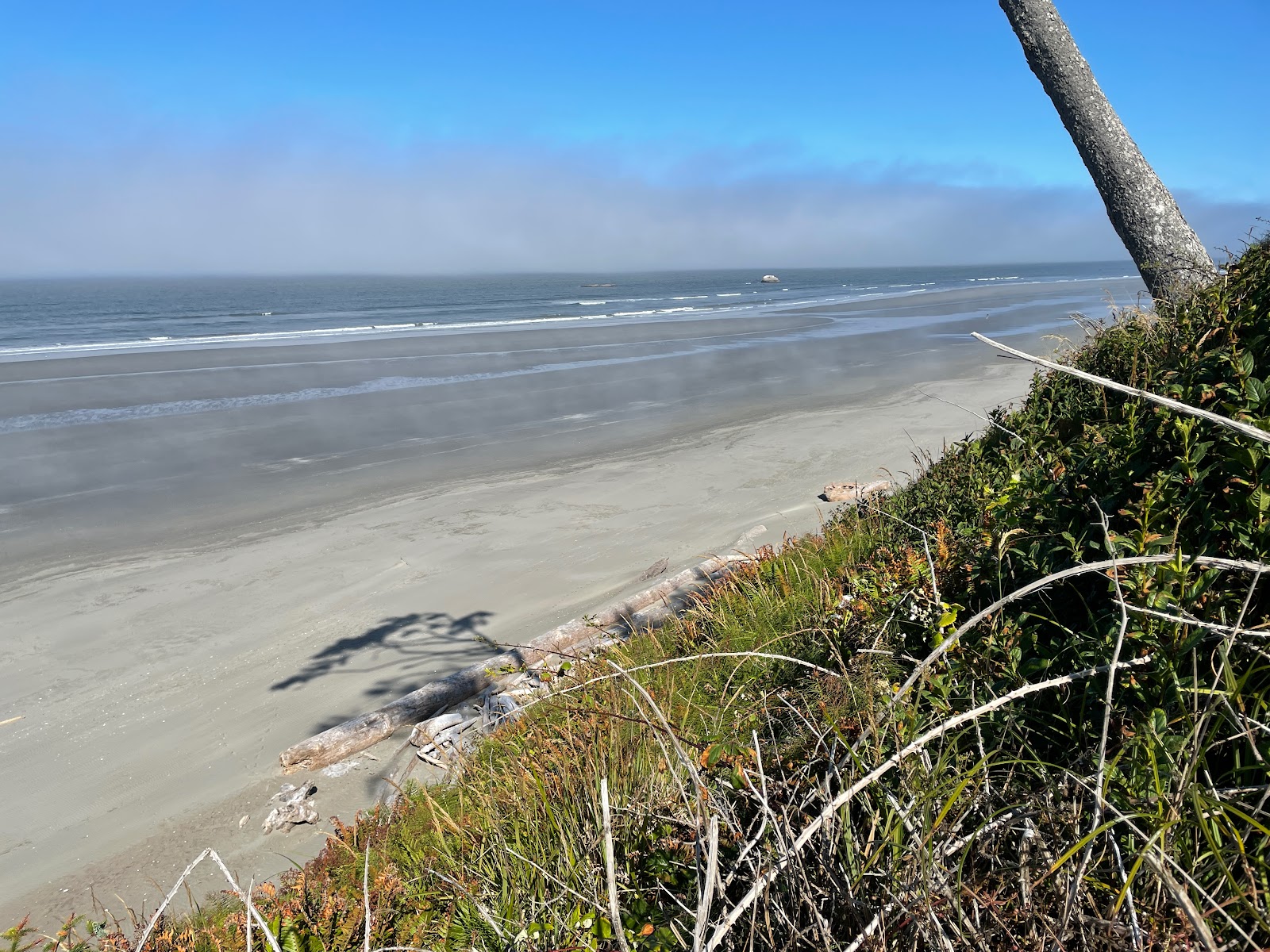 Kalaloch Beach II'in fotoğrafı düz ve uzun ile birlikte