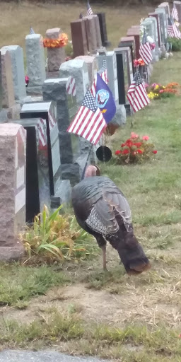 State Park «Blue Hills Reservation», reviews and photos, 695 Hillside St, Milton, MA 02186, USA