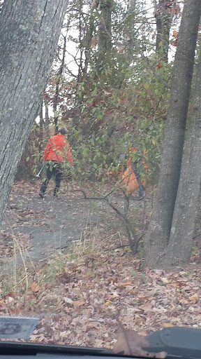 Auto Repair Shop «Sunset Hills Automotive», reviews and photos, 11014 Sunset Hills Rd, Reston, VA 20190, USA