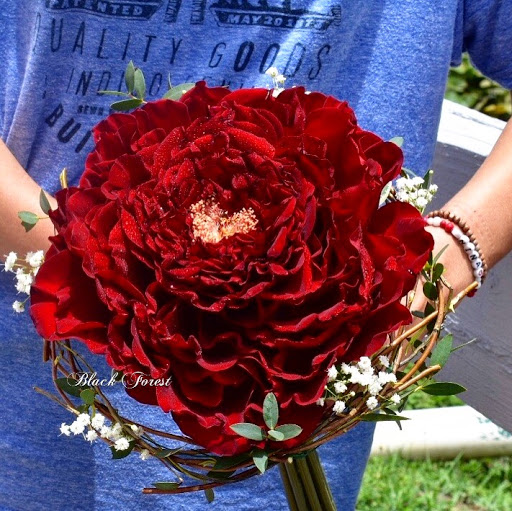 Florist «Black Forest Flowers and Gifts», reviews and photos, 3426 Tampa Rd, Palm Harbor, FL 34684, USA