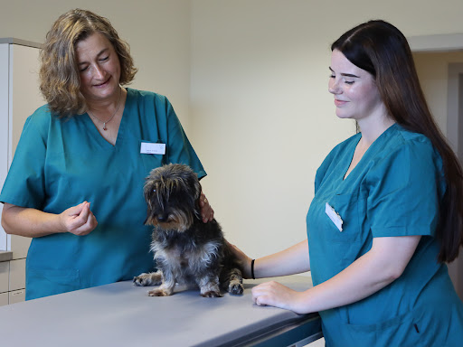 Tierarzt Oster Warburg, Kleintierpraxis Dr. Oster unter Warburg, 