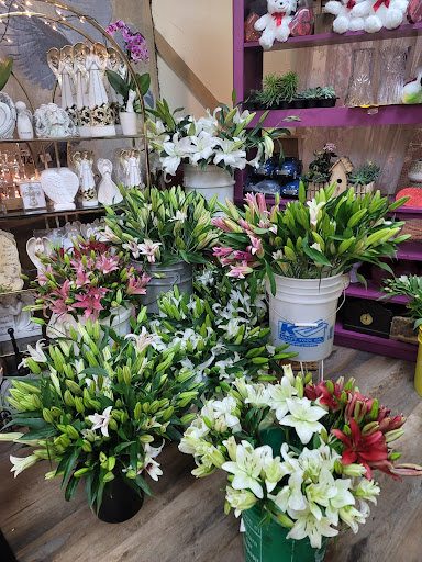 Florist «Sunshine Flowers», reviews and photos, 6230 Stumph Rd, Parma Heights, OH 44130, USA