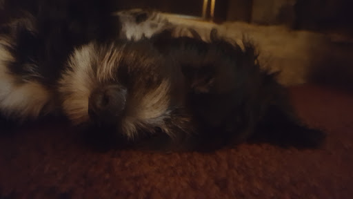 Beauty Salon «Jolie Beauty Spa & Nails», reviews and photos, 30 E Crossville Rd #170, Roswell, GA 30075, USA