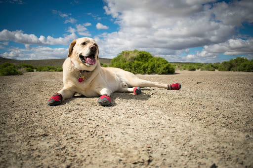 9475 Double R Blvd, Reno, NV 89521, USA