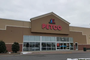 Petco image