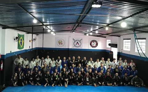 Academia de Jiu-jitsu Aliandro Camillo - BJJF image