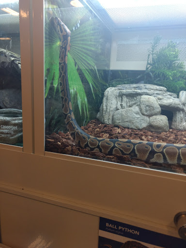 Pet Supply Store «PetSmart», reviews and photos, 1460 Koester Rd, Forsyth, IL 62535, USA