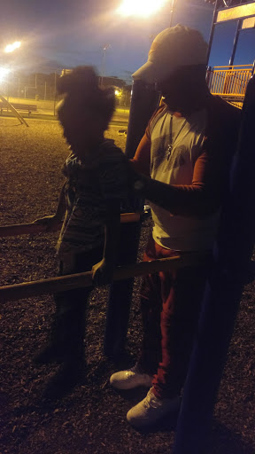 Park «Duffy Park», reviews and photos, 9200 S Millard Ave, Evergreen Park, IL 60805, USA