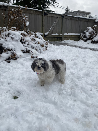 Grand Coulee Veterinary Clinic image