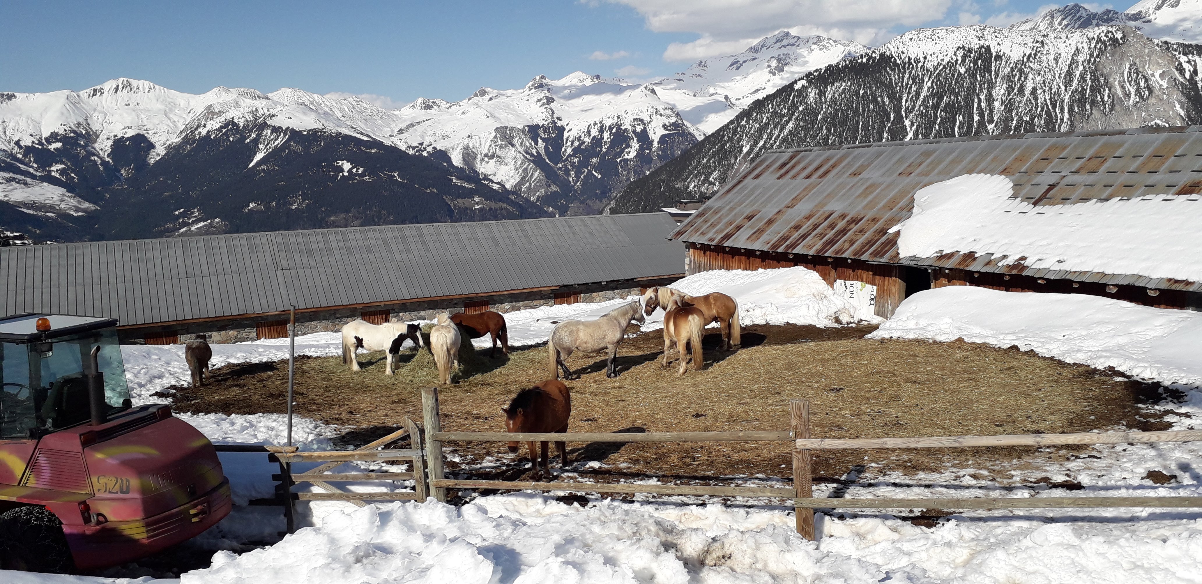 Photo n° 1 de l'avis de MARIE.H fait le 08/07/2019 à 15:48