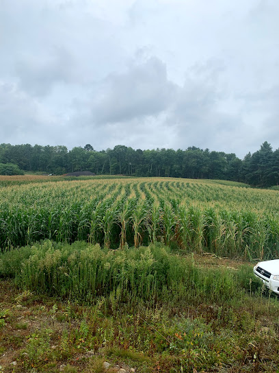 Greener Acres Farm Brazilian Corn