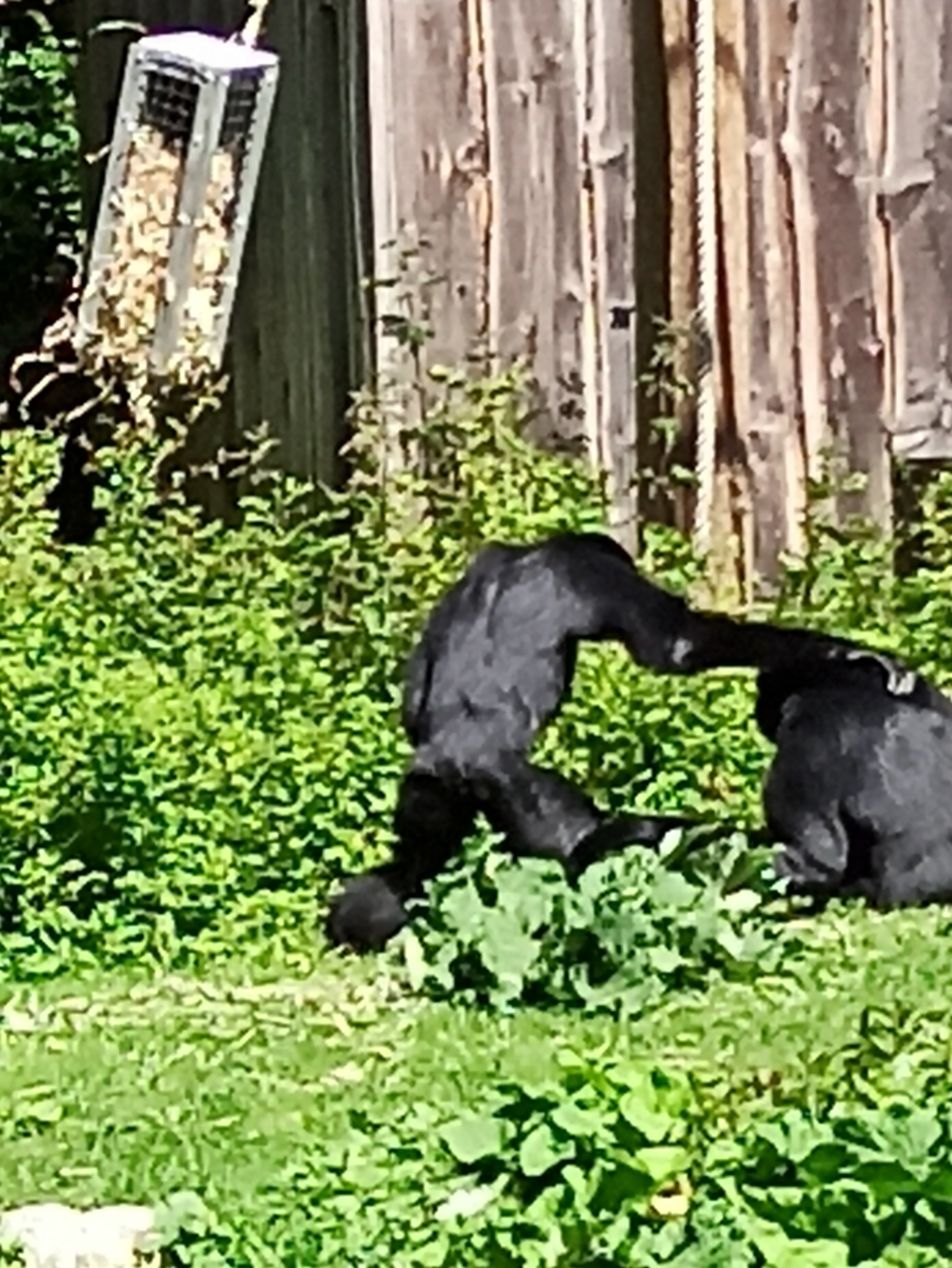 Photo n° 10 de l'avis de Johannes.o fait le 21/02/2019 à 14:04