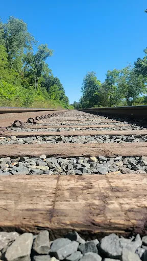 Tourist Attraction «Dinosaur Footprints», reviews and photos, US-5, Holyoke, MA 01040, USA