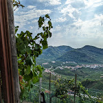 Photo n°9 de l'avis de Ela. fait le 30/08/2022 à 13:27 sur le  Osteria Senz'Oste à Valdobbiadene